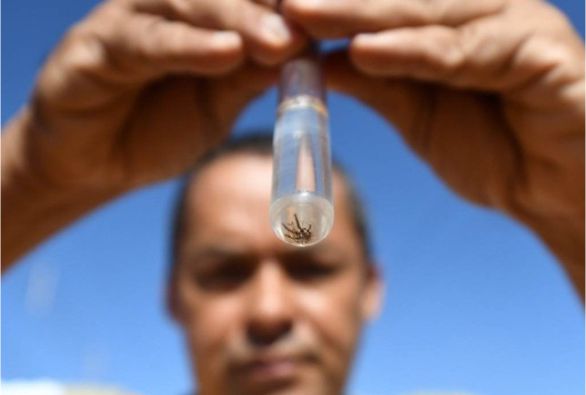 Duas pessoas morrem de dengue em Guanambi